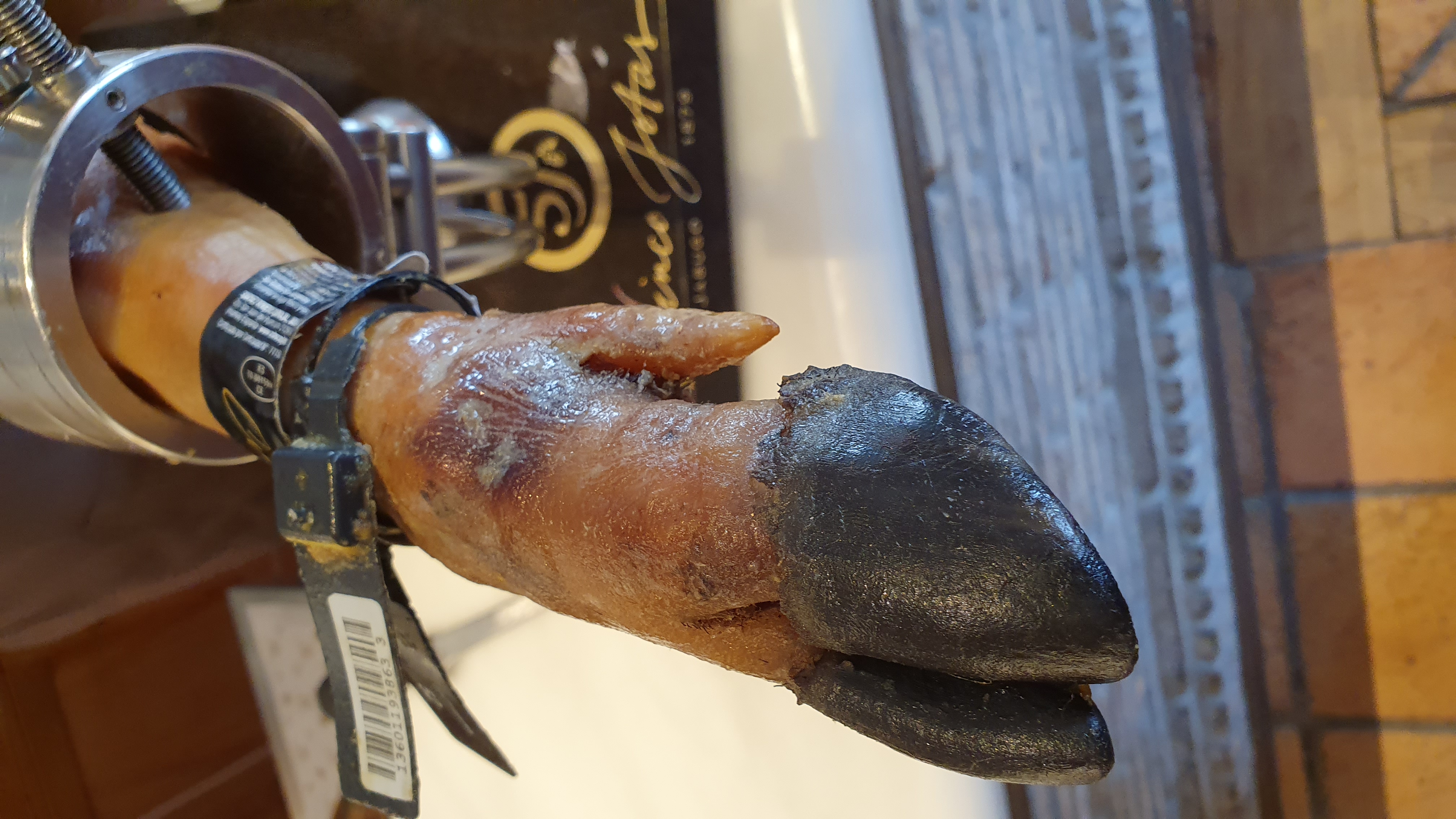 5J,Bellota,Cinco Jotas,IBERICO,Jabugo,JAMON,OSBORNE,哈布果,火腿,西班牙,西班牙南部,黑標火腿 5J,Bellota,Cinco Jotas,IBERICO,Jabugo,JAMON,OSBORNE,哈布果,火腿,西班牙,西班牙南部,黑標火腿