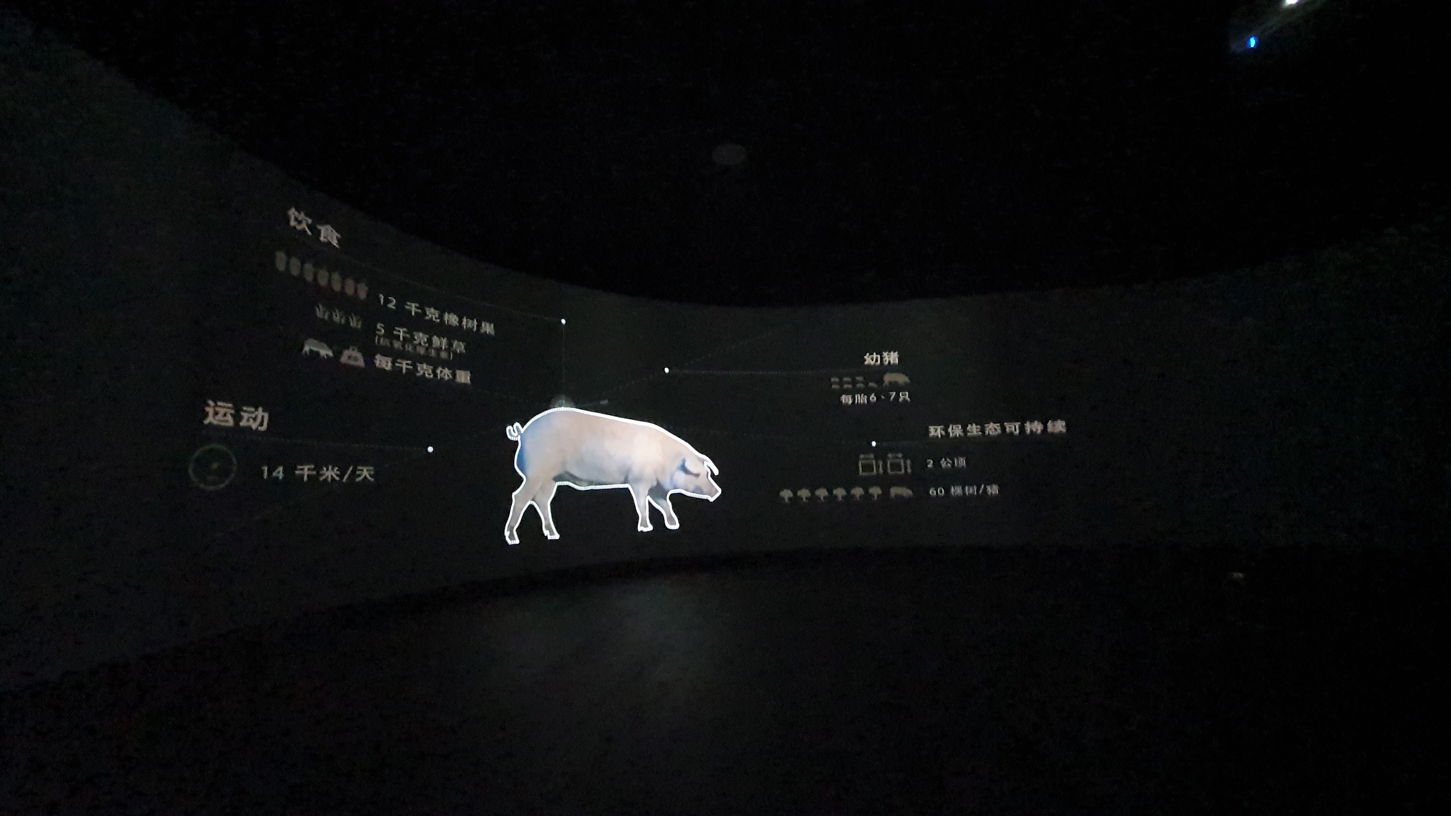 5J,Bellota,Cinco Jotas,IBERICO,Jabugo,JAMON,OSBORNE,哈布果,火腿,西班牙,西班牙南部,黑標火腿 5J,Bellota,Cinco Jotas,IBERICO,Jabugo,JAMON,OSBORNE,哈布果,火腿,西班牙,西班牙南部,黑標火腿