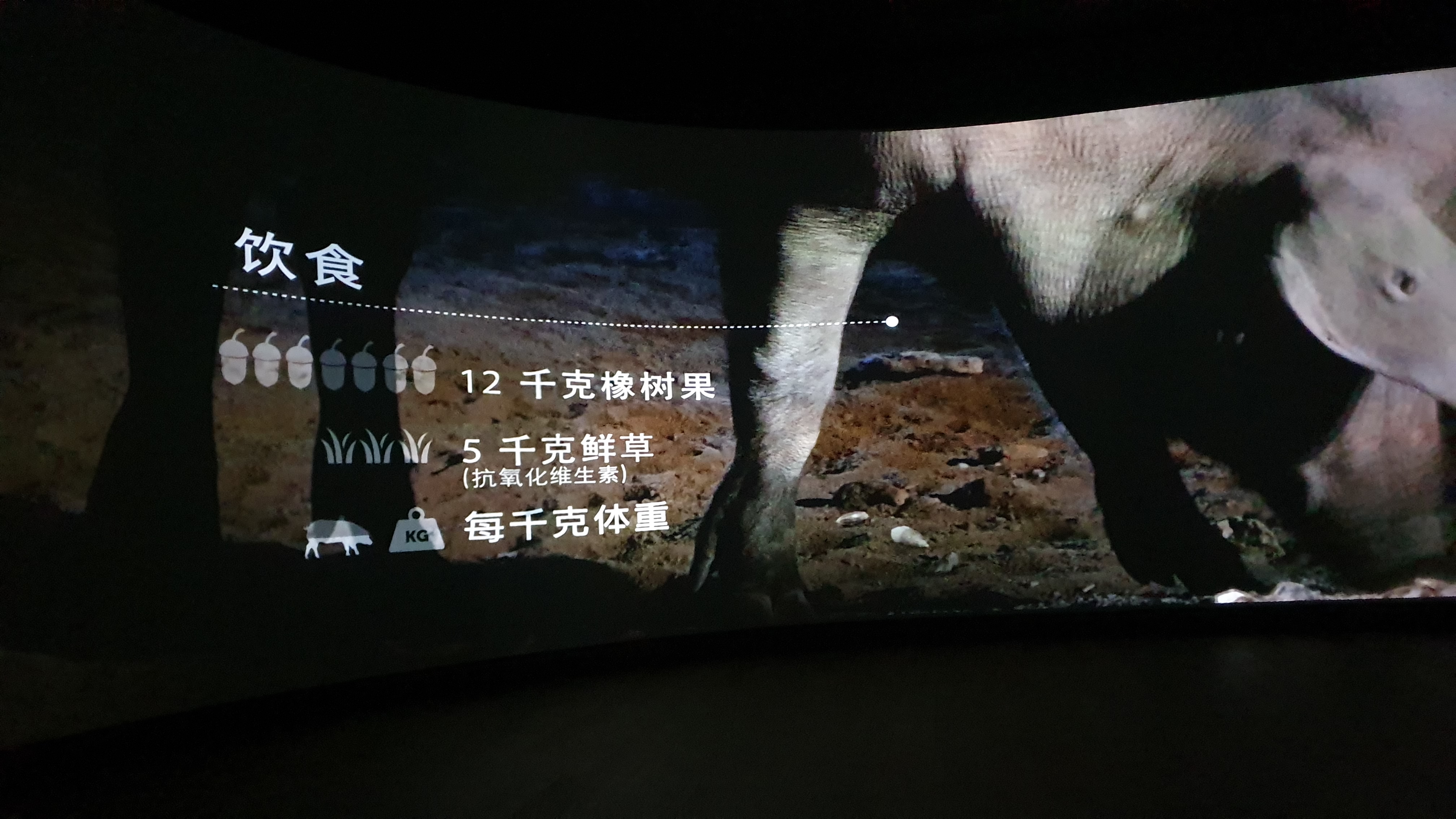 5J,Bellota,Cinco Jotas,IBERICO,Jabugo,JAMON,OSBORNE,哈布果,火腿,西班牙,西班牙南部,黑標火腿 5J,Bellota,Cinco Jotas,IBERICO,Jabugo,JAMON,OSBORNE,哈布果,火腿,西班牙,西班牙南部,黑標火腿