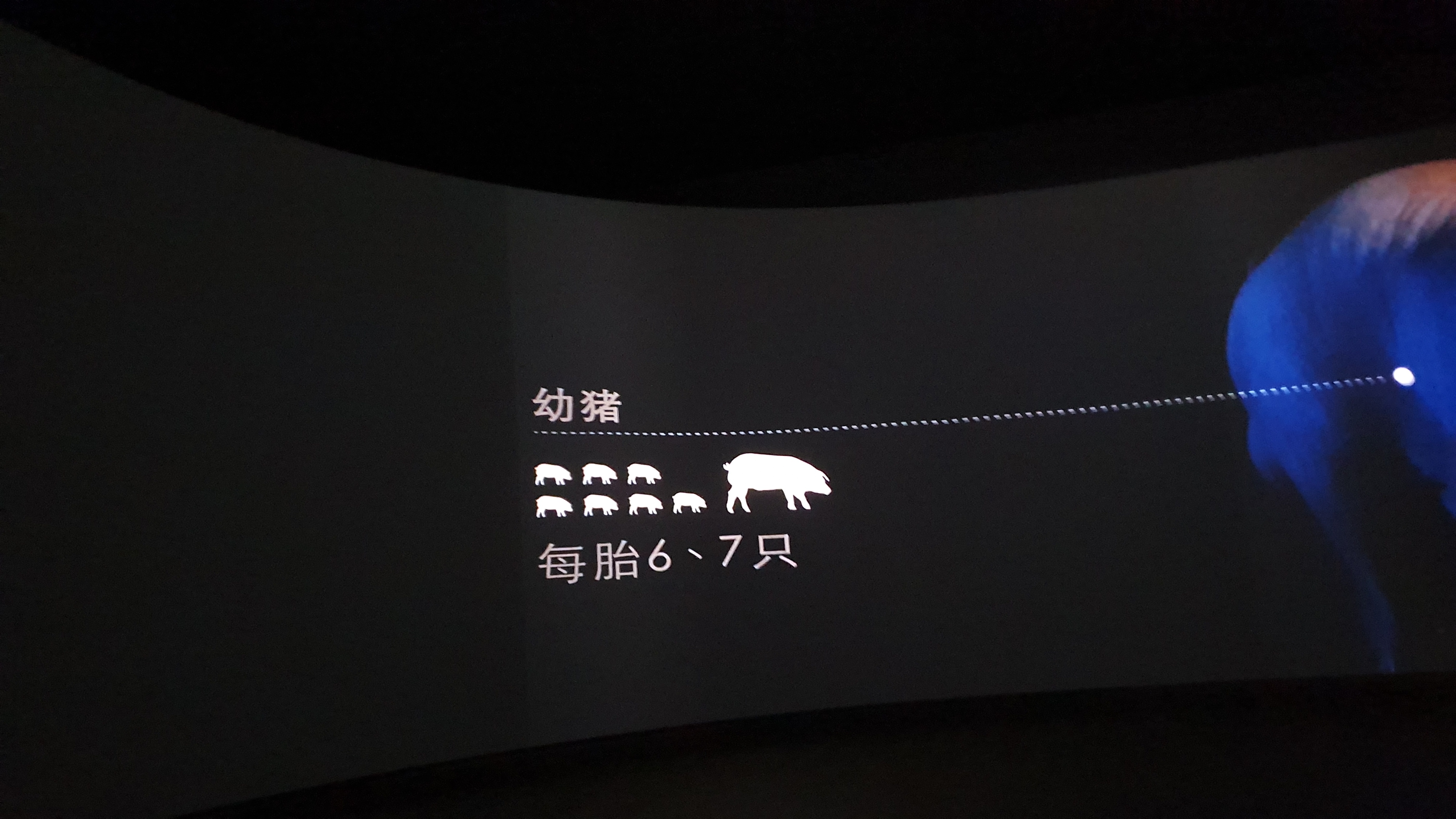 5J,Bellota,Cinco Jotas,IBERICO,Jabugo,JAMON,OSBORNE,哈布果,火腿,西班牙,西班牙南部,黑標火腿 5J,Bellota,Cinco Jotas,IBERICO,Jabugo,JAMON,OSBORNE,哈布果,火腿,西班牙,西班牙南部,黑標火腿