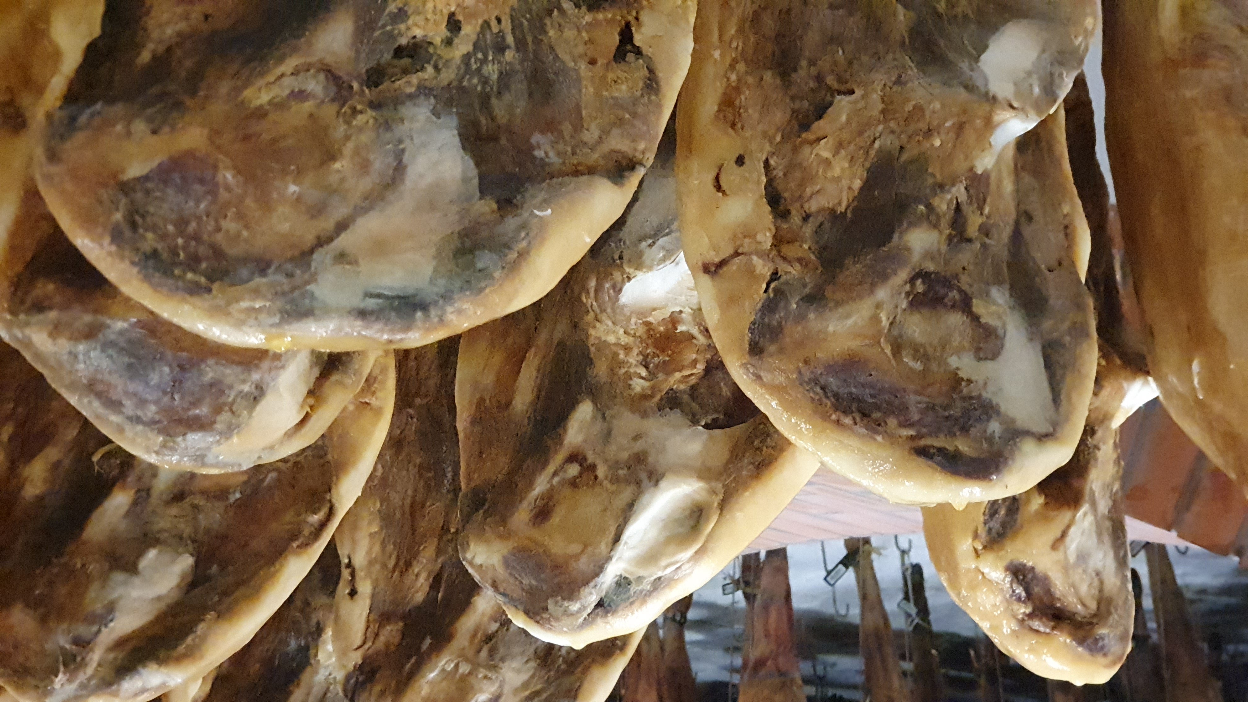 5J,Bellota,Cinco Jotas,IBERICO,Jabugo,JAMON,OSBORNE,哈布果,火腿,西班牙,西班牙南部,黑標火腿 5J,Bellota,Cinco Jotas,IBERICO,Jabugo,JAMON,OSBORNE,哈布果,火腿,西班牙,西班牙南部,黑標火腿