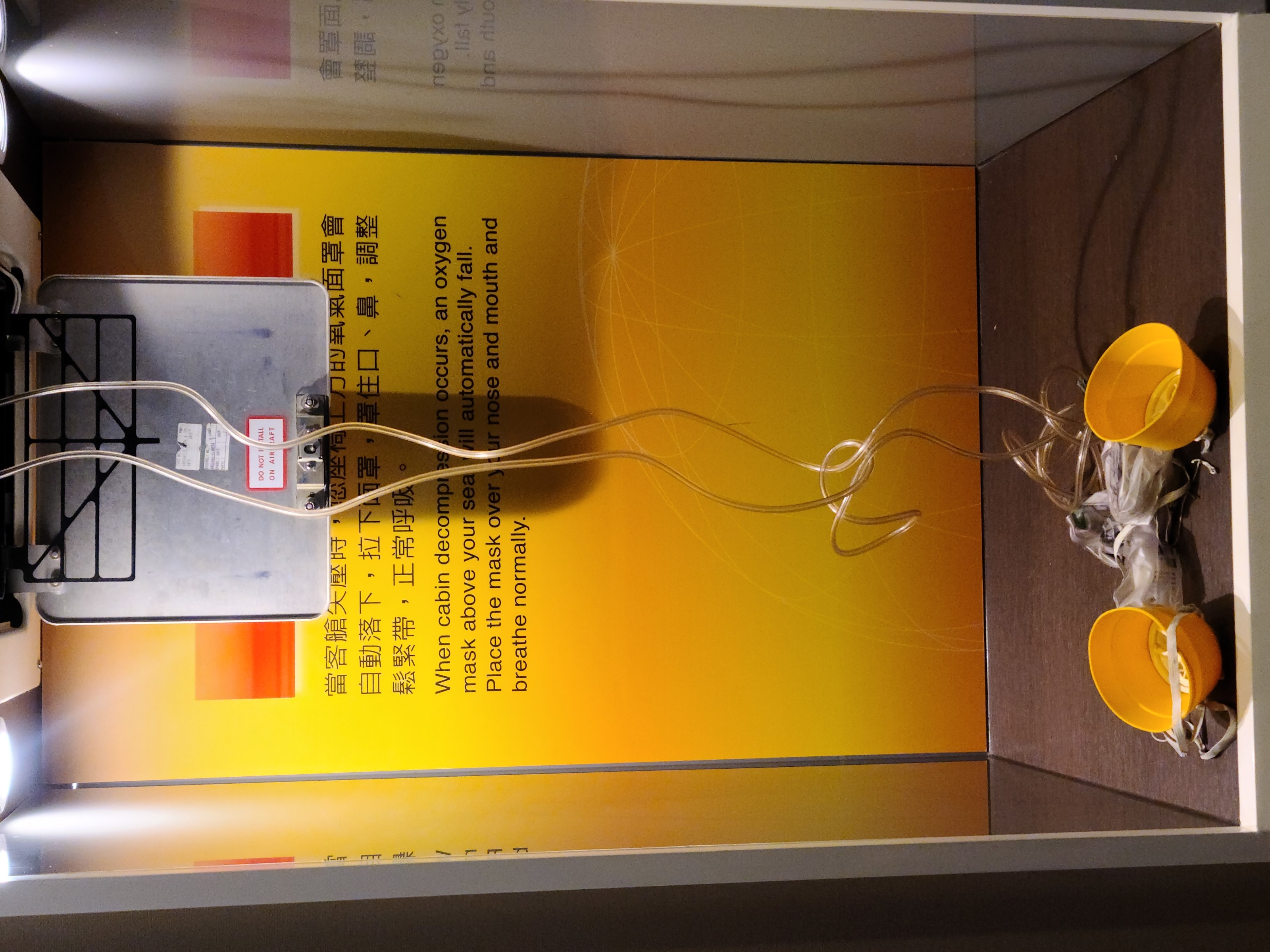 BUSINESS CLASS,CLASS C,EVAAIR,star alliance,傑西飛行記錄,星空聯盟,疫情當中的參訪,空服,航空,訓練中心,長榮航空,飛安 BUSINESS CLASS,CLASS C,EVAAIR,star alliance,傑西飛行記錄,星空聯盟,疫情當中的參訪,空服,航空,訓練中心,長榮航空,飛安