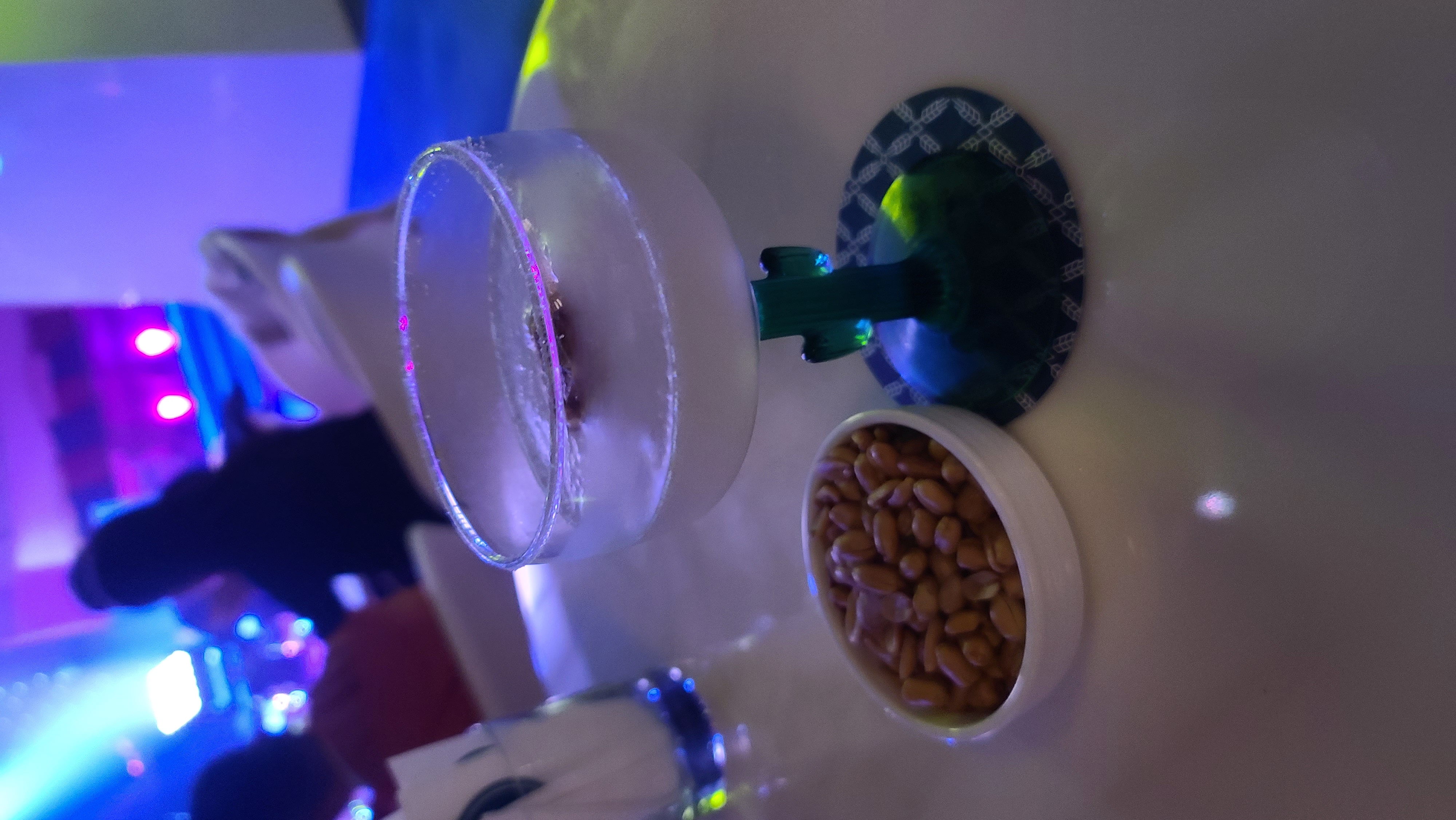 傑西飯店開箱清單,台灣萬豪,澎湖,福朋,華信,華信環台飛行,萬豪,萬豪系統 傑西飯店開箱清單,台灣萬豪,澎湖,福朋,華信,華信環台飛行,萬豪,萬豪系統