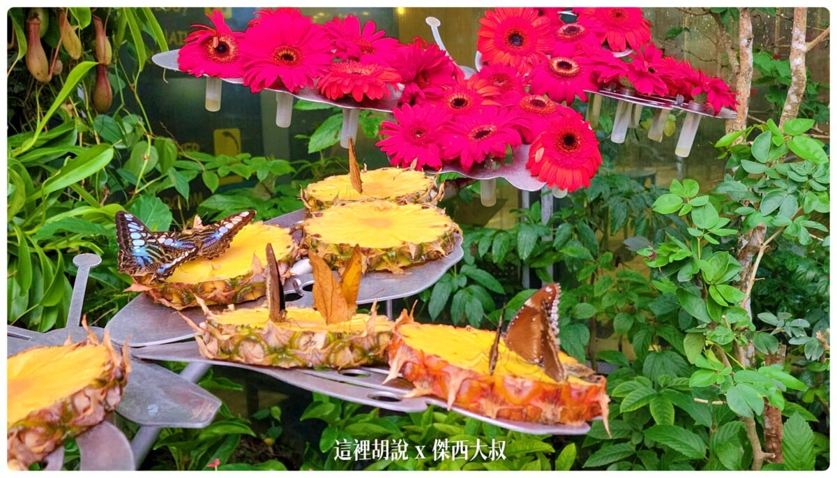Google News,SIA,Singapore,VISIT SINGAPORE,WSSS,傑西飛行記錄,新加坡,新加坡樟宜機場平面圖,新加坡機場 轉機,新加坡機場入境,新加坡機場地圖,新加坡機場第一航廈,新加坡機場轉機,新加坡機場轉機攻略,新加坡轉機可以出境嗎,新加坡轉機流程,星耀樟宜地圖,樟宜,樟宜機場,樟宜機場 地圖,樟宜機場出境,樟宜機場第三航廈轉機,樟宜機場轉機,樟宜機場轉機攻略,機場,機場地圖,機場懶人包,機場系列文章,睡在樟宜 Google News,SIA,Singapore,VISIT SINGAPORE,WSSS,傑西飛行記錄,新加坡,新加坡樟宜機場平面圖,新加坡機場 轉機,新加坡機場入境,新加坡機場地圖,新加坡機場第一航廈,新加坡機場轉機,新加坡機場轉機攻略,新加坡轉機可以出境嗎,新加坡轉機流程,星耀樟宜地圖,樟宜,樟宜機場,樟宜機場 地圖,樟宜機場出境,樟宜機場第三航廈轉機,樟宜機場轉機,樟宜機場轉機攻略,機場,機場地圖,機場懶人包,機場系列文章,睡在樟宜