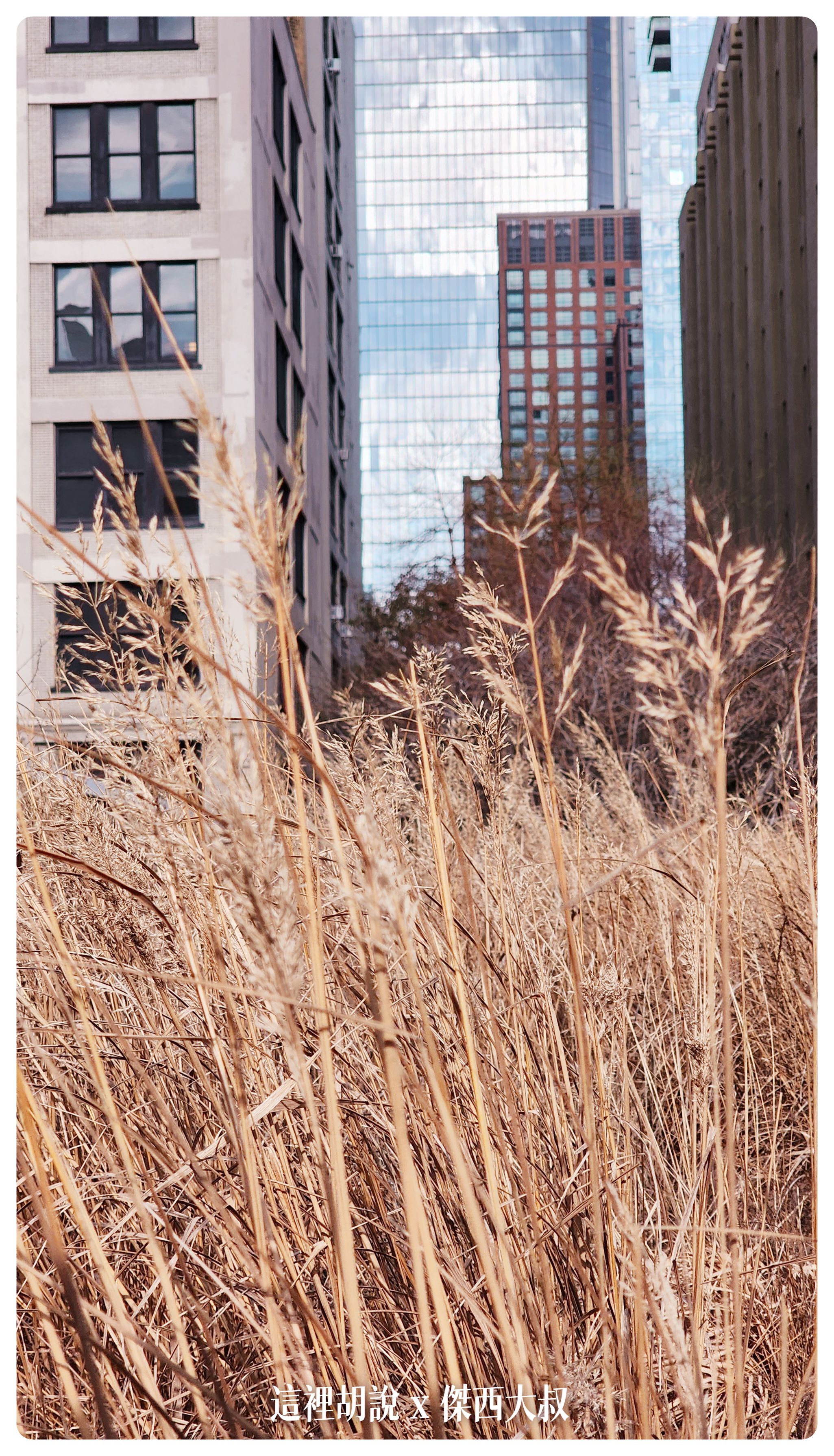2023-01 紐約,HIGH LINE,JFK,Motel Morris,NYC,PHO,SHACK SHAKE,SHAKE SHACK,VESSEL,影像日記,散步,散策,紐約,紐約餐廳周,麥當勞 2023-01 紐約,HIGH LINE,JFK,Motel Morris,NYC,PHO,SHACK SHAKE,SHAKE SHACK,VESSEL,影像日記,散步,散策,紐約,紐約餐廳周,麥當勞