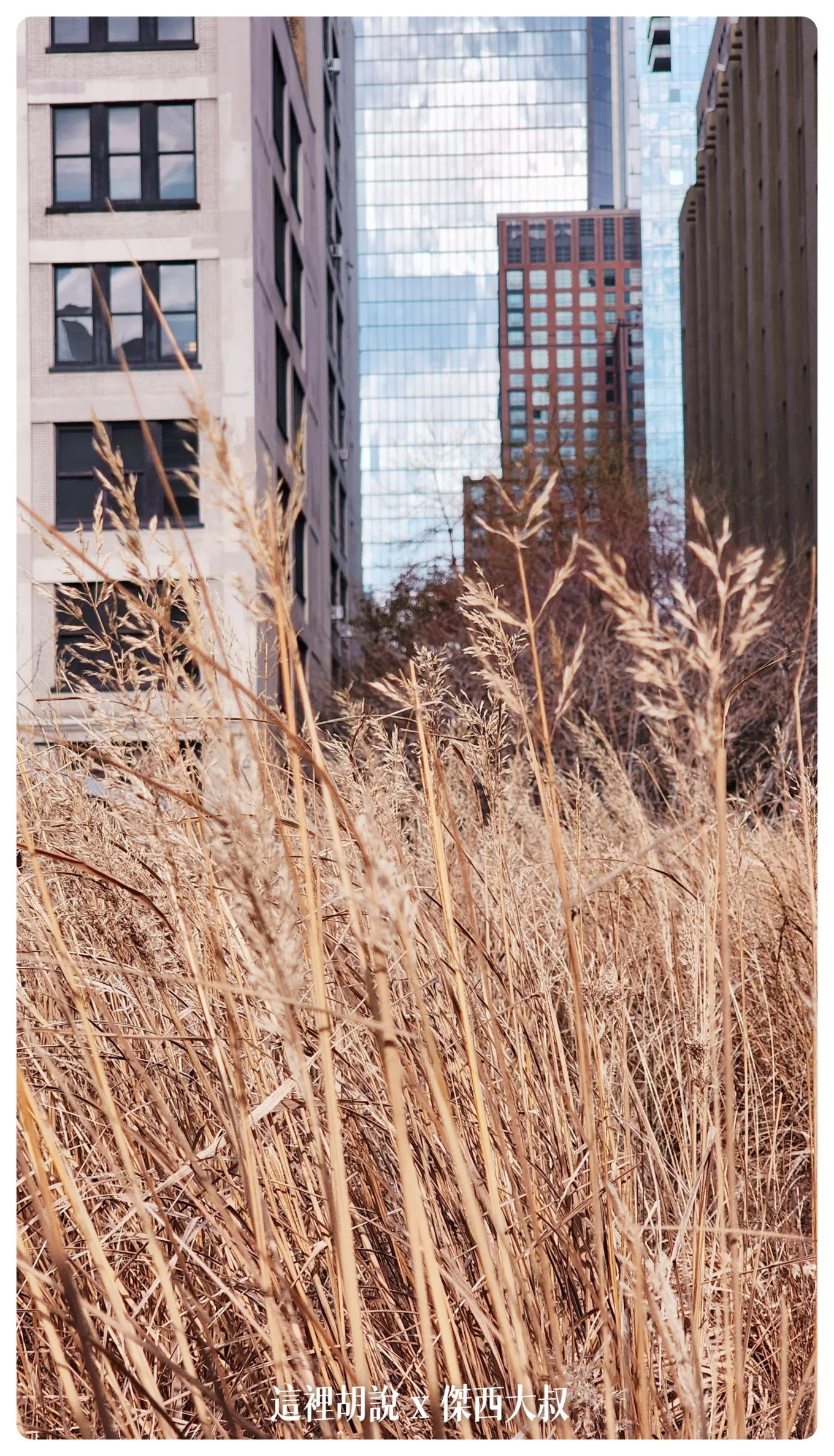 2023-01 紐約,HIGH LINE,JFK,Motel Morris,NYC,PHO,SHACK SHAKE,SHAKE SHACK,VESSEL,影像日記,散步,散策,紐約,紐約餐廳周,麥當勞 2023-01 紐約,HIGH LINE,JFK,Motel Morris,NYC,PHO,SHACK SHAKE,SHAKE SHACK,VESSEL,影像日記,散步,散策,紐約,紐約餐廳周,麥當勞