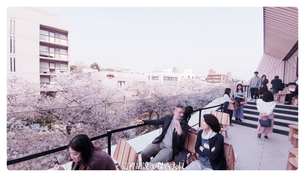 夜櫻,日本,日本旅遊,東京,櫻花,櫻花季節,目黑,目黑川,簡要照片記錄,賞櫻