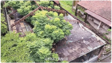2023,傑西吃貨筆記,傑西屏東口袋,台88,台灣咖啡,咖啡冠軍,國道三號,墾丁旅遊,大和咖啡,大和咖啡館,大和頓物所,大和頓物所咖啡,屏東,屏東咖啡,屏東旅遊,廢墟咖啡,建築設計,德文咖啡,德興碾米廠,慢城竹田,最美玻璃屋咖啡,泰武咖啡,玻璃屋,碾米廠,碾米廠改造的咖啡館,碾米廠變身,竹田,竹田2023,竹田咖啡,竹田火車站,竹田生活,竹田艦隊,竹田車站,竹田駅,精品咖啡,精品咖啡豆,索恩娜,網美咖啡,老屋咖啡 @傑西大叔 x 這裡胡說