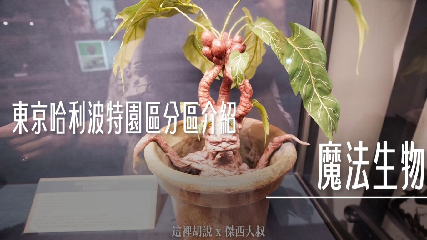 2023,harry potter tokyo,HarryPotter,PTT,themakingofharrypotterTokyo,Tokyo,WarnerBrosStudioTour,WBTourTokyo,スタジオツアー東京,ハリポタツアー,ワーナー ブラザース スタジオツア,九又四分之三月台,交通,儲思盆,光輪兩千,入學通知單,劫盜地圖,史萊哲林,哈利波特,哈利波特在東京,嘿美,噴水池,多比,奶油啤酒,學院,官網,巫師旗,巴嘴,必看,必買,怪獸的怪獸書,攻略,斗蓬,旋轉樓梯,日本,日本旅遊,東京,東京哈利波特,東京哈利波特影城,東京旅遊,水蠟樹街,營業時間,相片,禁忌森林,華納兄弟,葛來分多,豊島園,豐島園站,購票,選轉樓梯,鄧不利多辦公室,門票,霍格華茲大橋,霍格華茲特快車,飛天掃帚,飛天掃把,飛天車,飛行,飛行掃帚,飛行掃把,騎士公車,魁地奇,魔法世界,魔法部,魔法部廣場,魔法部訪客入口,魔蘋果,麻瓜 @傑西大叔 x 這裡胡說