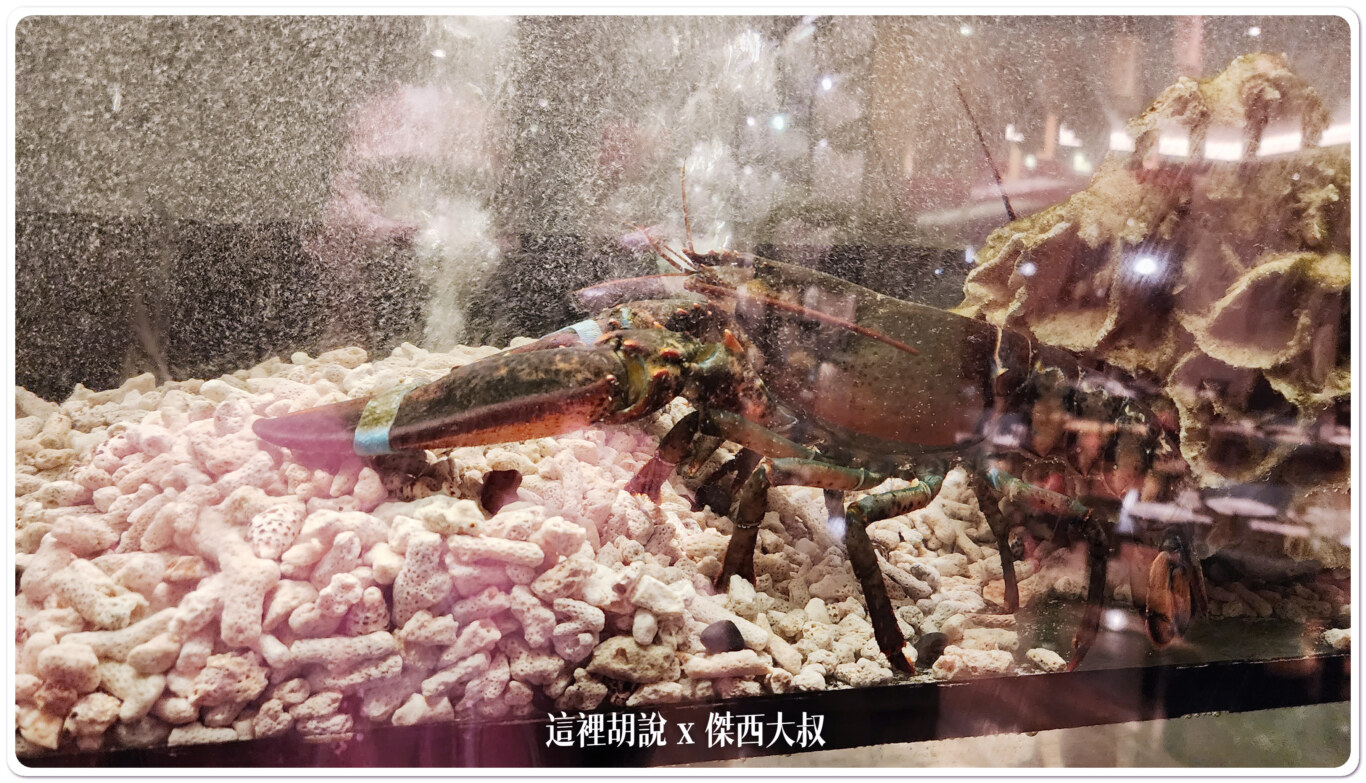 2023,傑西懷胎七個月,內湖,台北,港式,港點,潮粵坊,烤鴨,美福大飯店,點心 2023,傑西懷胎七個月,內湖,台北,港式,港點,潮粵坊,烤鴨,美福大飯店,點心