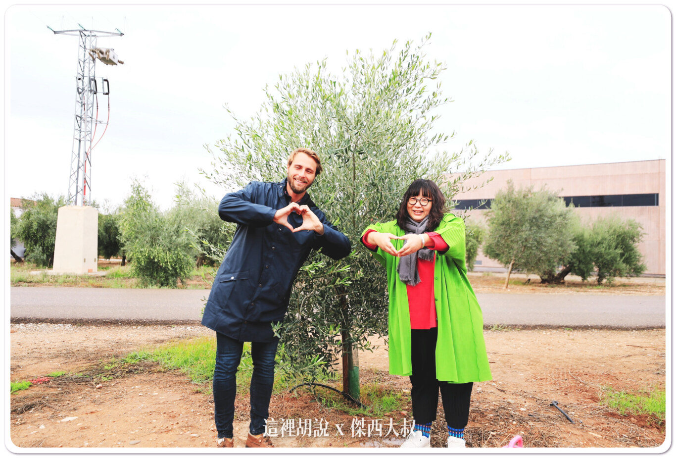 2023,Aires de Jaén,Jaén,哈恩,巴狄尼絲莊園,橄欖油,橄欖田,西班牙,西班牙南部 2023,Aires de Jaén,Jaén,哈恩,巴狄尼絲莊園,橄欖油,橄欖田,西班牙,西班牙南部