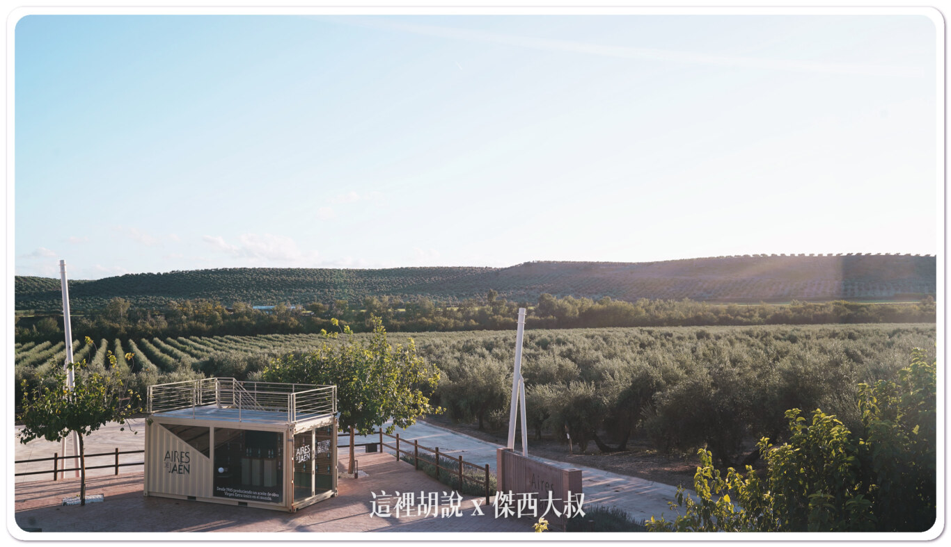 2023,Aires de Jaén,Jaén,哈恩,巴狄尼絲莊園,橄欖油,橄欖田,西班牙,西班牙南部 2023,Aires de Jaén,Jaén,哈恩,巴狄尼絲莊園,橄欖油,橄欖田,西班牙,西班牙南部
