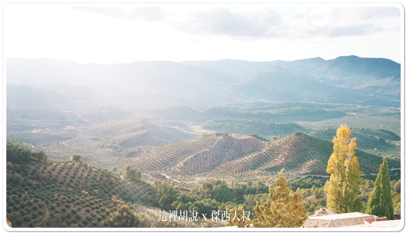 EVOO,JEAN,PICUAL,早摘,橄欖油,海恩,綠橄欖,西班牙 EVOO,JEAN,PICUAL,早摘,橄欖油,海恩,綠橄欖,西班牙