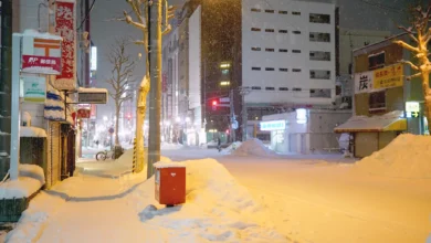 2024,DANNER,下雪,下雪天,冰爪,北海道,大雪,日本,服裝,穿著,防水鞋,雪地,雪地穿著,雪靴 @傑西大叔 x 這裡胡說