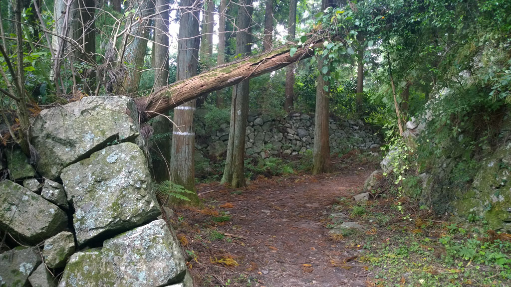 壺阪寺,日本三大山城,日本百大名城,高取城 壺阪寺,日本三大山城,日本百大名城,高取城