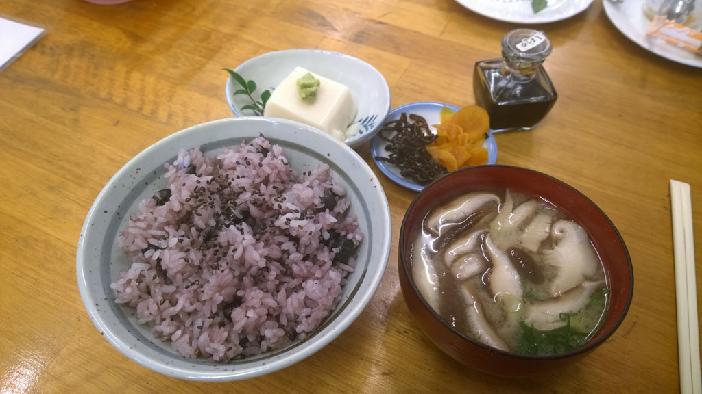 日本百大名城, 日本百大名城:55.千早城 , 日本百大名城, 後醍醐天皇, 楠木正成, 足利尊式, 金剛山,