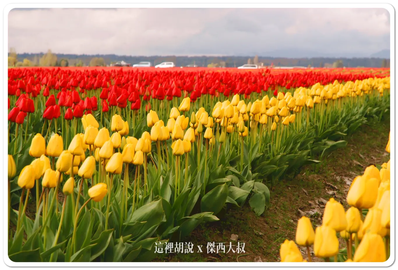 Seattle,VISIT SEATTLE,住哪邊,口香糖牆面,吃螃蟹,巧達濃湯,必去十大,懶人包主目錄,星宇直飛,星巴克,景點,波音,派克市場,熱門,私房景點,華盛頓州,華航直飛,西雅圖,西雅圖10 大最佳旅遊景點,西雅圖交通,西雅圖機通,西雅圖直飛,觀光景點,達美,頁首重點訊息,飛行博物館 Seattle,VISIT SEATTLE,住哪邊,口香糖牆面,吃螃蟹,巧達濃湯,必去十大,懶人包主目錄,星宇直飛,星巴克,景點,波音,派克市場,熱門,私房景點,華盛頓州,華航直飛,西雅圖,西雅圖10 大最佳旅遊景點,西雅圖交通,西雅圖機通,西雅圖直飛,觀光景點,達美,頁首重點訊息,飛行博物館