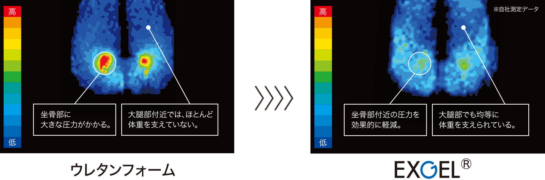 2024,Exgel,Exgel座墊,KAJI,seating lab,日本,羽田機場花園,開箱新鮮貨 2024,Exgel,Exgel座墊,KAJI,seating lab,日本,羽田機場花園,開箱新鮮貨