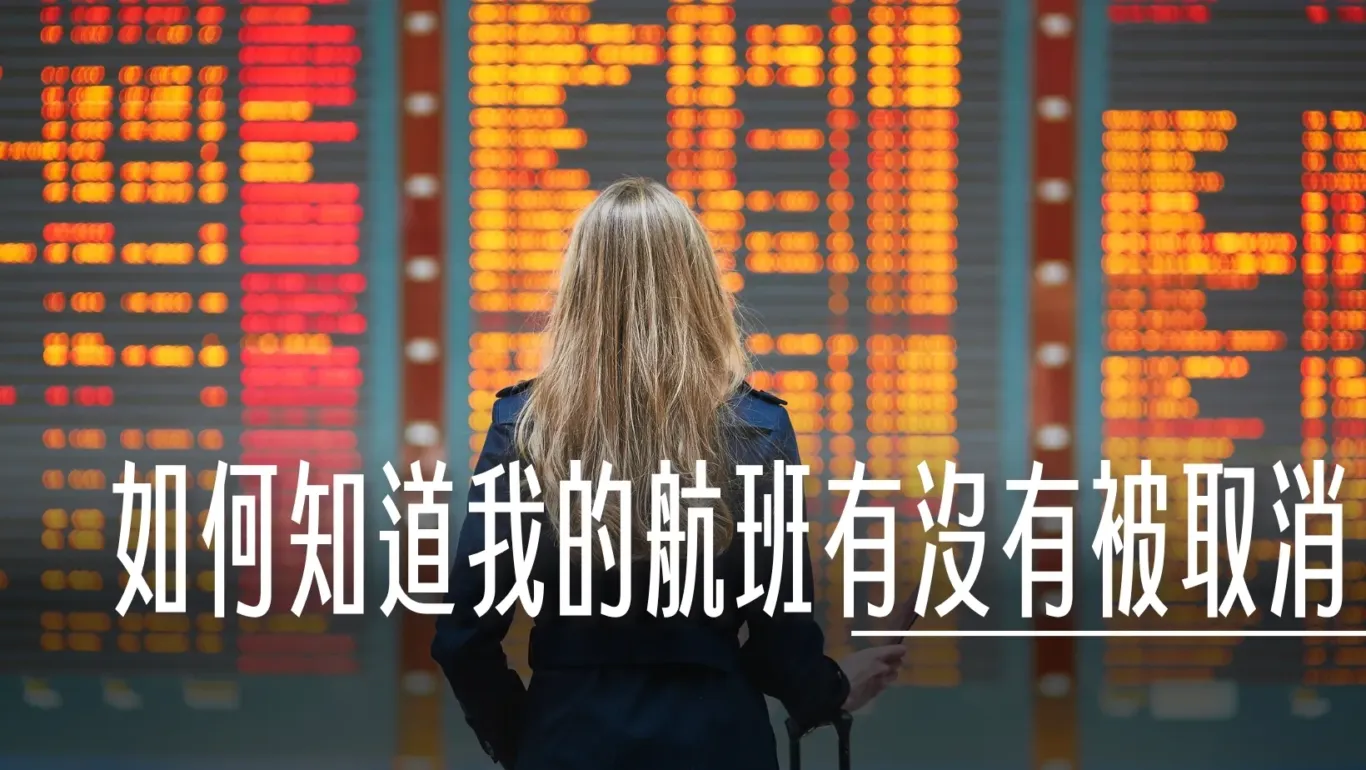 查詢航班,班機取消,航班動態,航班取消,航班延誤,航班異動,颱風 @傑西大叔 x 這裡胡說