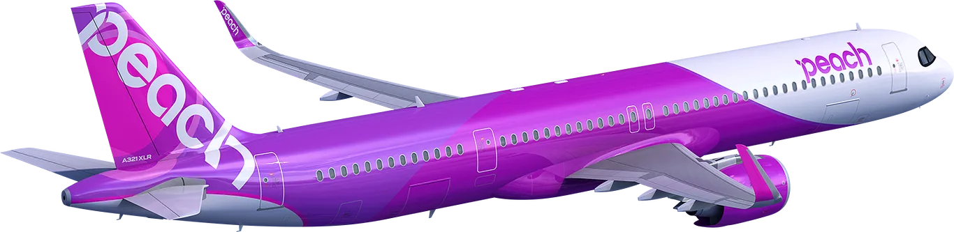 ana,全日空新聞,新機,新機訂單,購機資訊 ana,全日空新聞,新機,新機訂單,購機資訊