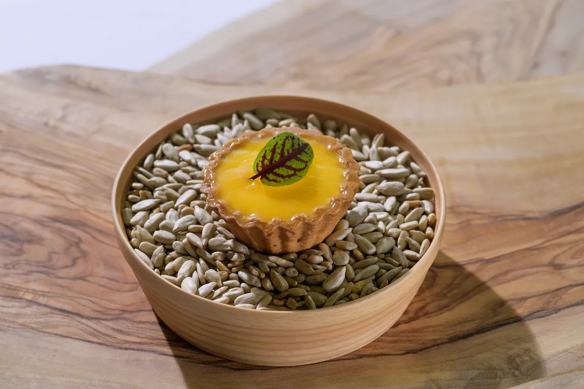 奧入瀨溪流飯店,星野集團,星野集團新聞 奧入瀨溪流飯店,星野集團,星野集團新聞
