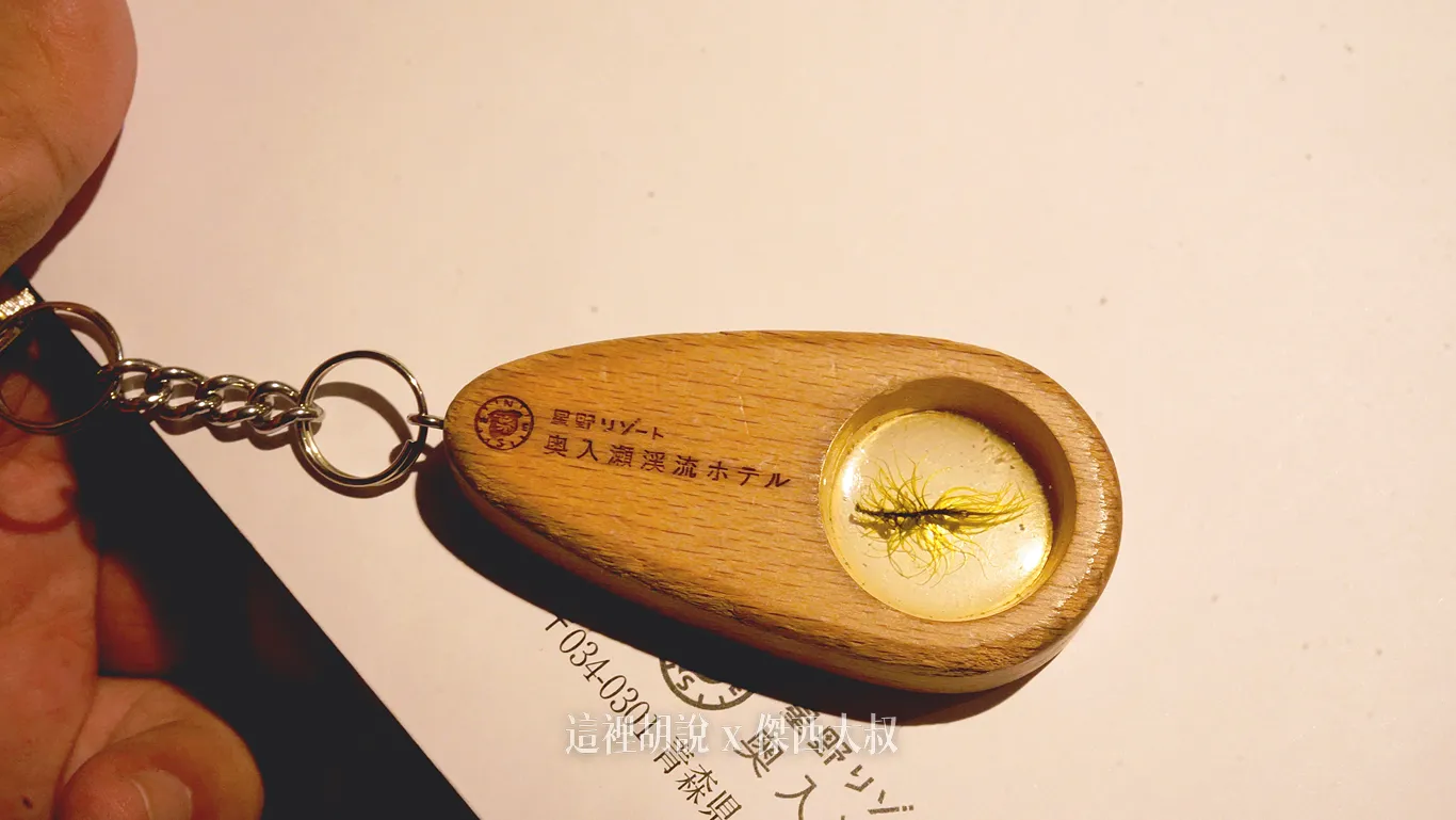 鑰匙也非常有特色,裡面是一個蕨類,喜歡的話在飯店商店內也有銷售
