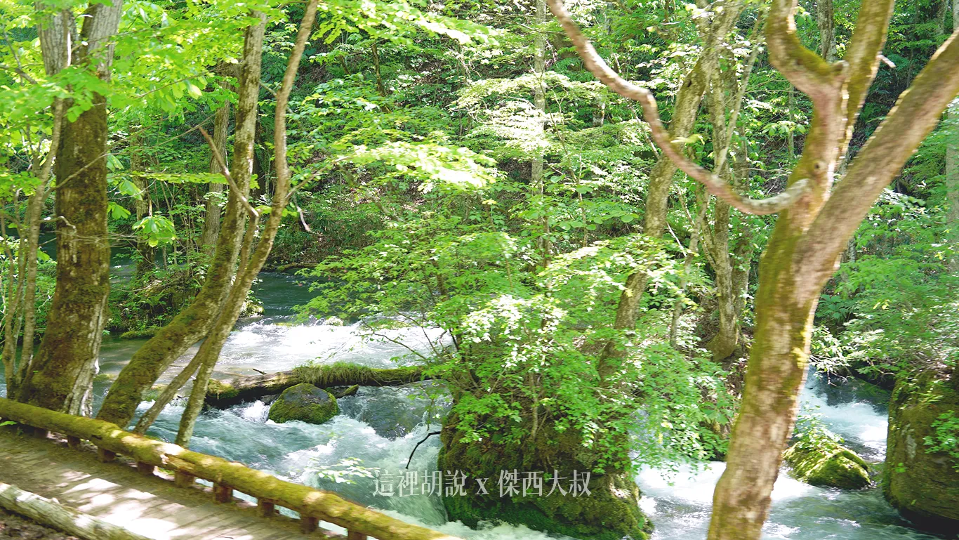 2025,一泊二食,九十九島,傑西飯店開箱清單,八甲田山,十和田湖,奥入瀬渓流,奧入瀨溪流,奧入瀨溪流接駁巴士,奧入瀨溪流步道,奧入瀨溪流酒店,奧入瀨溪流飯店,姊妹瀑布,巡迴巴士,帆立貝,接駁巴士,接駁車,日本,星星相遇,星野集團,星野集團台灣總代理,晚餐,東北,森林步道,溪流,溪流散策,溪流瀑布,溫泉,自然景觀,苔蘚生態,觀光巴士,銚子大瀑布,銚子瀑布,阿修羅之流,青森 2025,一泊二食,九十九島,傑西飯店開箱清單,八甲田山,十和田湖,奥入瀬渓流,奧入瀨溪流,奧入瀨溪流接駁巴士,奧入瀨溪流步道,奧入瀨溪流酒店,奧入瀨溪流飯店,姊妹瀑布,巡迴巴士,帆立貝,接駁巴士,接駁車,日本,星星相遇,星野集團,星野集團台灣總代理,晚餐,東北,森林步道,溪流,溪流散策,溪流瀑布,溫泉,自然景觀,苔蘚生態,觀光巴士,銚子大瀑布,銚子瀑布,阿修羅之流,青森