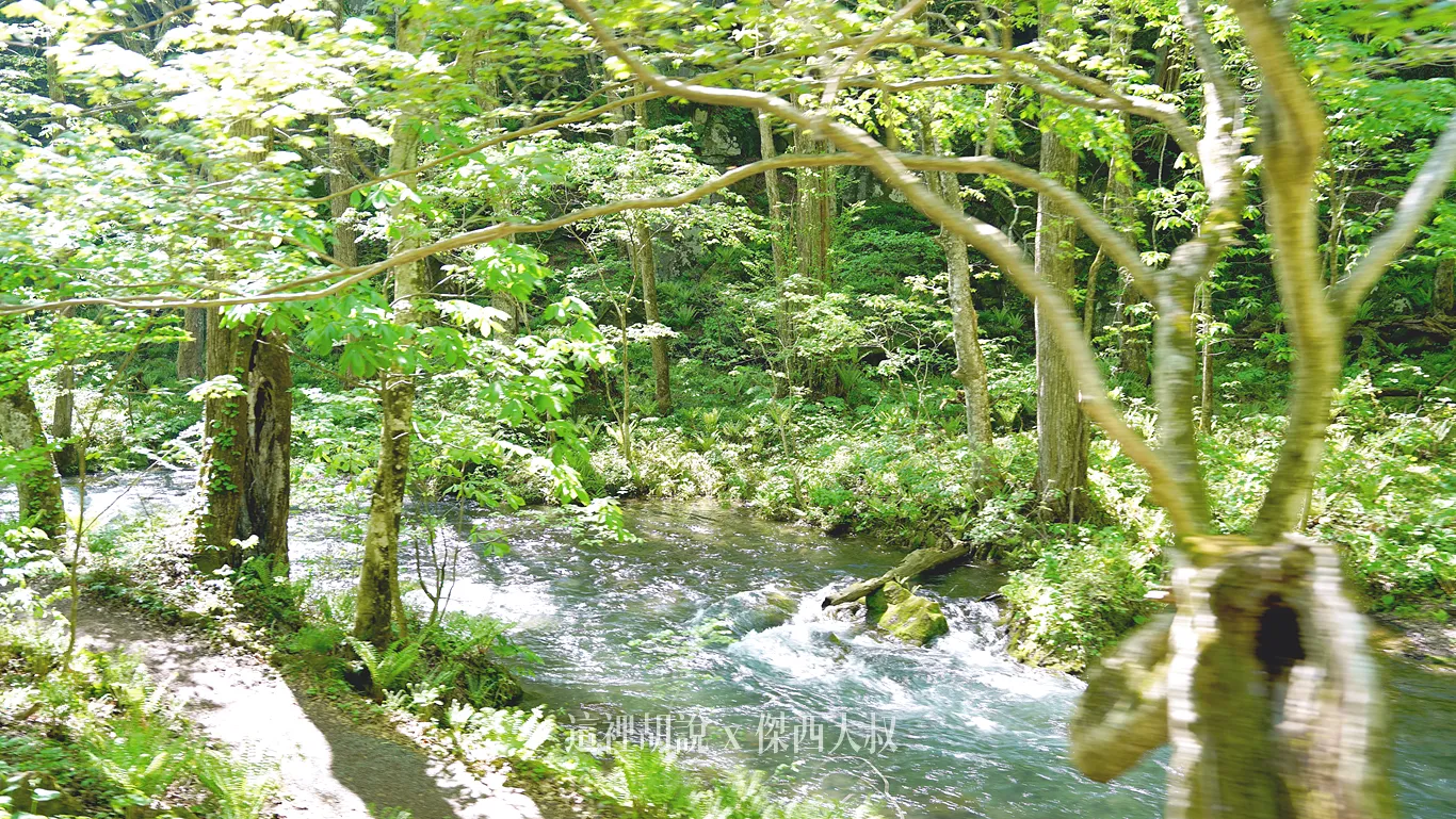 2025,一泊二食,九十九島,傑西飯店開箱清單,八甲田山,十和田湖,奥入瀬渓流,奧入瀨溪流,奧入瀨溪流接駁巴士,奧入瀨溪流步道,奧入瀨溪流酒店,奧入瀨溪流飯店,姊妹瀑布,巡迴巴士,帆立貝,接駁巴士,接駁車,日本,星星相遇,星野集團,星野集團台灣總代理,晚餐,東北,森林步道,溪流,溪流散策,溪流瀑布,溫泉,自然景觀,苔蘚生態,觀光巴士,銚子大瀑布,銚子瀑布,阿修羅之流,青森 2025,一泊二食,九十九島,傑西飯店開箱清單,八甲田山,十和田湖,奥入瀬渓流,奧入瀨溪流,奧入瀨溪流接駁巴士,奧入瀨溪流步道,奧入瀨溪流酒店,奧入瀨溪流飯店,姊妹瀑布,巡迴巴士,帆立貝,接駁巴士,接駁車,日本,星星相遇,星野集團,星野集團台灣總代理,晚餐,東北,森林步道,溪流,溪流散策,溪流瀑布,溫泉,自然景觀,苔蘚生態,觀光巴士,銚子大瀑布,銚子瀑布,阿修羅之流,青森