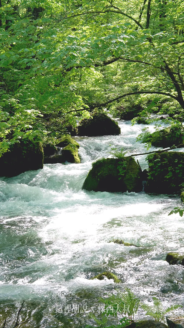 2025,一泊二食,九十九島,傑西飯店開箱清單,八甲田山,十和田湖,奥入瀬渓流,奧入瀨溪流,奧入瀨溪流接駁巴士,奧入瀨溪流步道,奧入瀨溪流酒店,奧入瀨溪流飯店,姊妹瀑布,巡迴巴士,帆立貝,接駁巴士,接駁車,日本,星星相遇,星野集團,星野集團台灣總代理,晚餐,東北,森林步道,溪流,溪流散策,溪流瀑布,溫泉,自然景觀,苔蘚生態,觀光巴士,銚子大瀑布,銚子瀑布,阿修羅之流,青森 2025,一泊二食,九十九島,傑西飯店開箱清單,八甲田山,十和田湖,奥入瀬渓流,奧入瀨溪流,奧入瀨溪流接駁巴士,奧入瀨溪流步道,奧入瀨溪流酒店,奧入瀨溪流飯店,姊妹瀑布,巡迴巴士,帆立貝,接駁巴士,接駁車,日本,星星相遇,星野集團,星野集團台灣總代理,晚餐,東北,森林步道,溪流,溪流散策,溪流瀑布,溫泉,自然景觀,苔蘚生態,觀光巴士,銚子大瀑布,銚子瀑布,阿修羅之流,青森