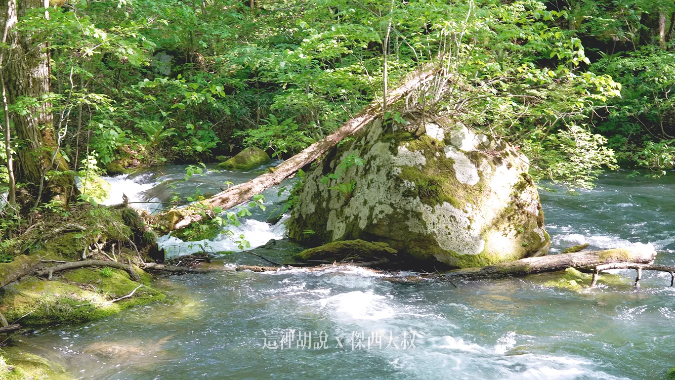2025,一泊二食,九十九島,傑西飯店開箱清單,八甲田山,十和田湖,奥入瀬渓流,奧入瀨溪流,奧入瀨溪流接駁巴士,奧入瀨溪流步道,奧入瀨溪流酒店,奧入瀨溪流飯店,姊妹瀑布,巡迴巴士,帆立貝,接駁巴士,接駁車,日本,星星相遇,星野集團,星野集團台灣總代理,晚餐,東北,森林步道,溪流,溪流散策,溪流瀑布,溫泉,自然景觀,苔蘚生態,觀光巴士,銚子大瀑布,銚子瀑布,阿修羅之流,青森 2025,一泊二食,九十九島,傑西飯店開箱清單,八甲田山,十和田湖,奥入瀬渓流,奧入瀨溪流,奧入瀨溪流接駁巴士,奧入瀨溪流步道,奧入瀨溪流酒店,奧入瀨溪流飯店,姊妹瀑布,巡迴巴士,帆立貝,接駁巴士,接駁車,日本,星星相遇,星野集團,星野集團台灣總代理,晚餐,東北,森林步道,溪流,溪流散策,溪流瀑布,溫泉,自然景觀,苔蘚生態,觀光巴士,銚子大瀑布,銚子瀑布,阿修羅之流,青森