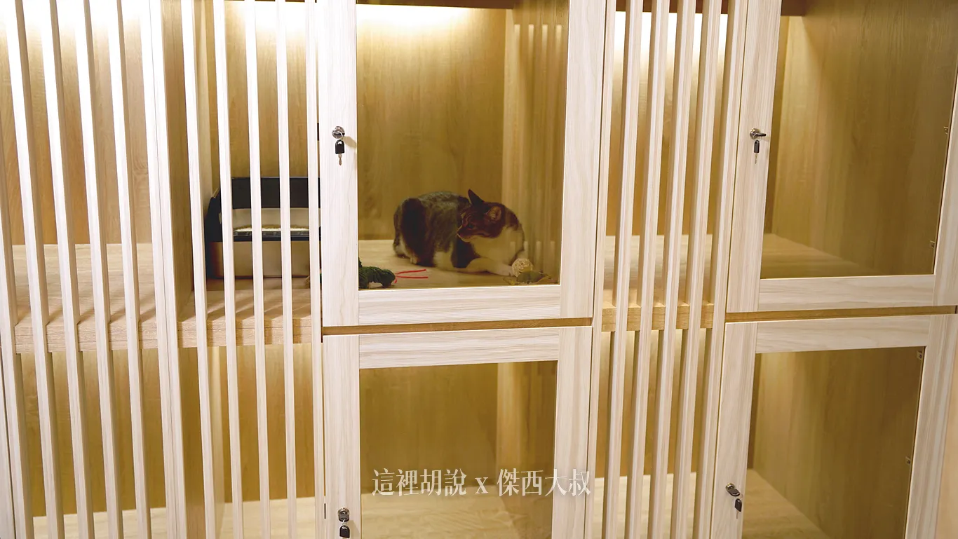 空間上因為是暫置,所以這個區域會比較小一點,這點飼主不用擔心,旅館裡面空間比較大,而且還有小跳台