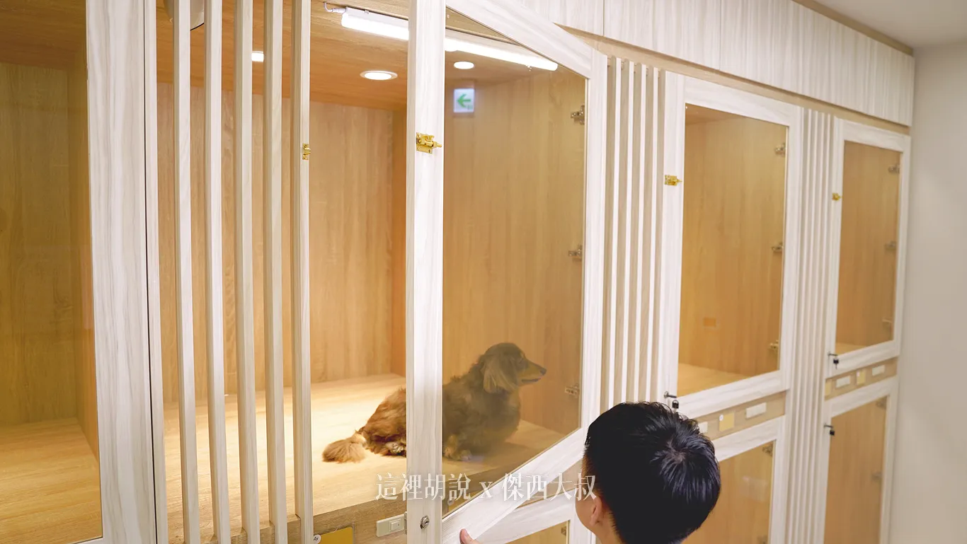 寵物住宿,寵物保母,寵物友善機場,寵物旅館,服務設施,桃園國際機場,桃園機場,桃園機場寵物旅館,桃園機場相關文章,機場,機場寵物寄放,機場相關文章,毛孩出國,第二航廈 寵物住宿,寵物保母,寵物友善機場,寵物旅館,服務設施,桃園國際機場,桃園機場,桃園機場寵物旅館,桃園機場相關文章,機場,機場寵物寄放,機場相關文章,毛孩出國,第二航廈