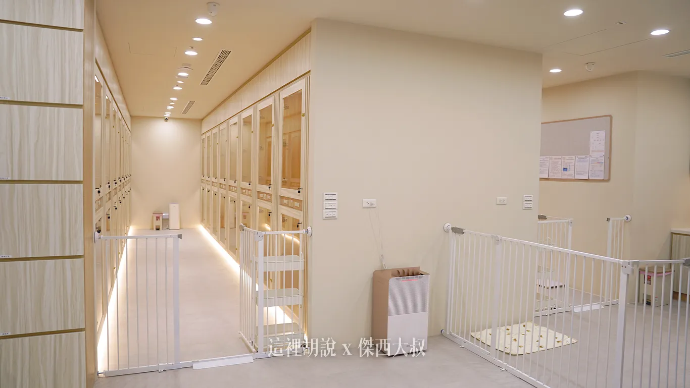寵物住宿,寵物保母,寵物友善機場,寵物旅館,服務設施,桃園國際機場,桃園機場,桃園機場寵物旅館,桃園機場相關文章,機場,機場寵物寄放,機場相關文章,毛孩出國,第二航廈 寵物住宿,寵物保母,寵物友善機場,寵物旅館,服務設施,桃園國際機場,桃園機場,桃園機場寵物旅館,桃園機場相關文章,機場,機場寵物寄放,機場相關文章,毛孩出國,第二航廈