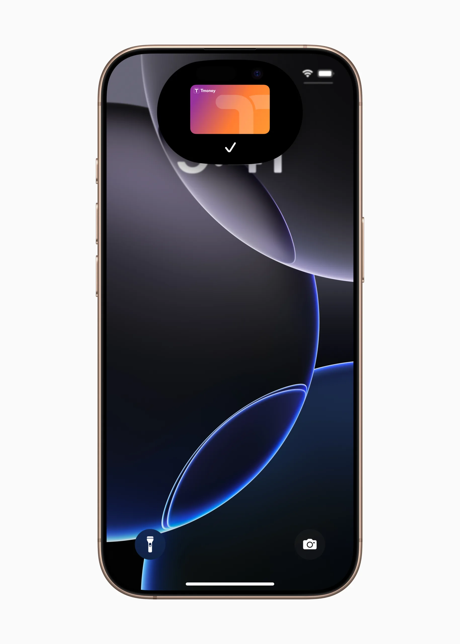 APPLE PAY,TMONEY,韓國 APPLE PAY,TMONEY,韓國